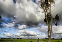 水利建设投资和规模创历史新高 2023年完成水利建设投资11996亿元