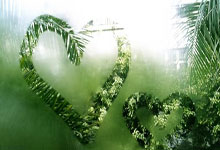 19日债券市场指数小幅波动