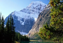 2月2日美国国债收益率整体上行