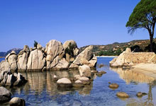 突破三百亿 奋进新征程 国网漳州供电公司年售电量首次突破300亿千瓦时