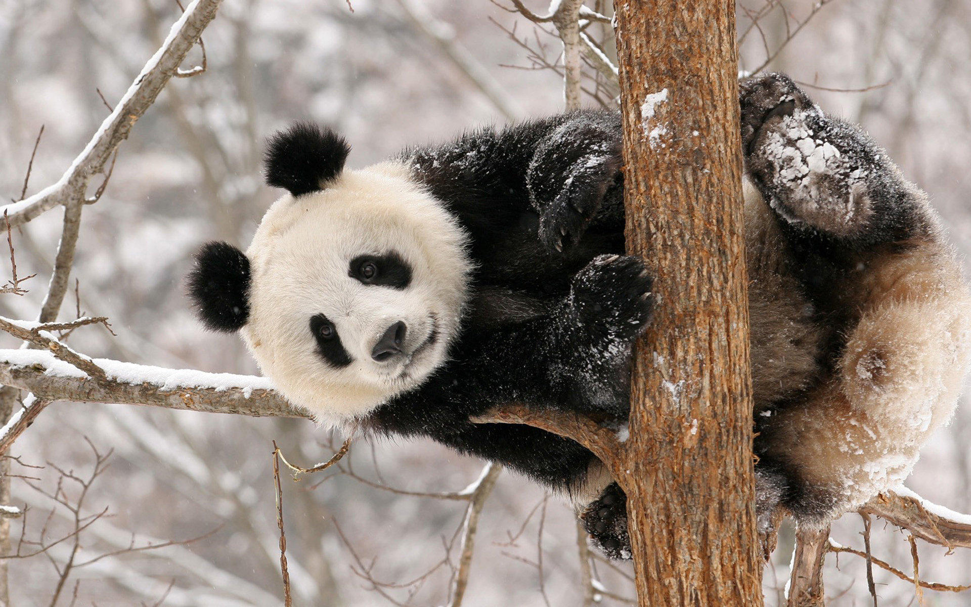 冀北清洁能源基地新能源总装机突破5000万千瓦