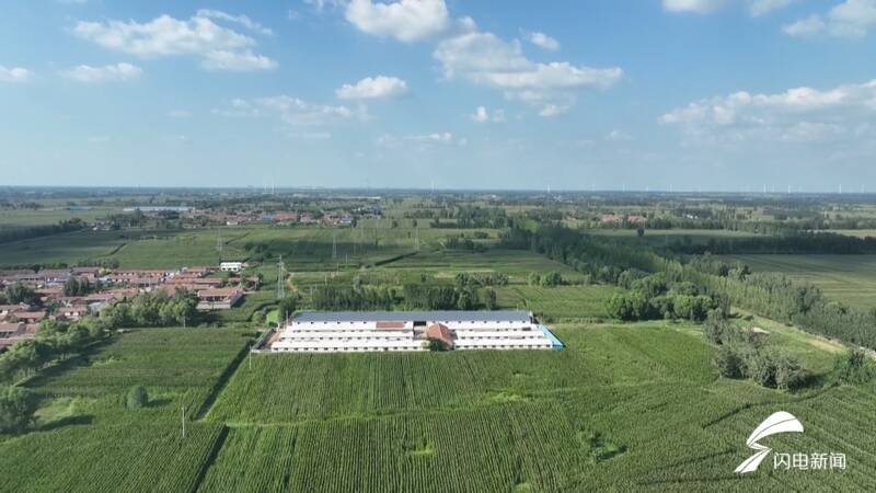 美债收益率全线走低 10年期美债收益率跌12个基点