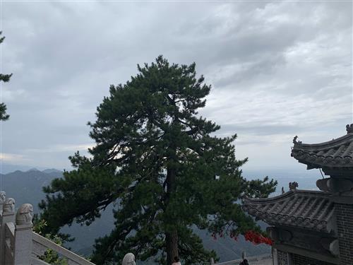 我国造船三大指标市场份额全球领先