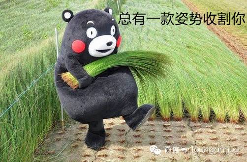 各方人士共话今年债市 科创类债、绿色债等有望取得长期稳健发展