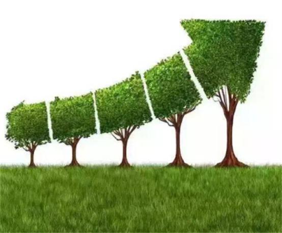 绿色债券发行保持高位 去年再超万亿元