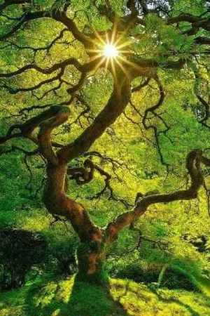 评论丨促进绿色债券市场“提质扩容”