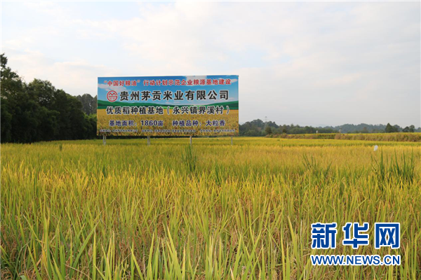 农发行成功发行89亿元支持长江大保护主题债券