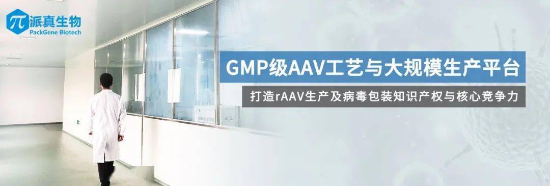 中合基因完成Pre-A轮融资 加速DNA生物合成装备产业化应用