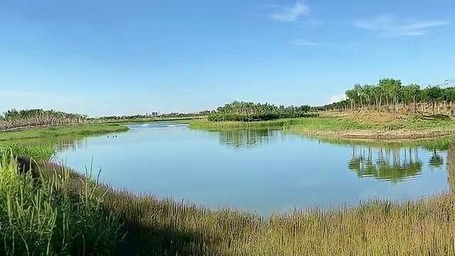 “光伏+治沙”筑牢生态防线 造就巴彦淖尔“绿色奇迹”