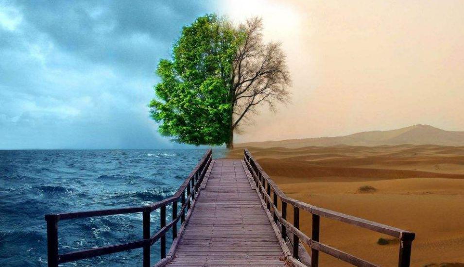 优山资本陈十游：行业下行周期中，更需要聚焦于寻找成本最低、技术突破性高、市场壁垒强的企业