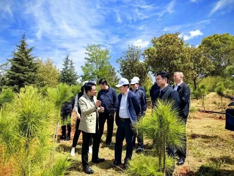 生态环境部：中央生态环保督察发现4方面突出问题