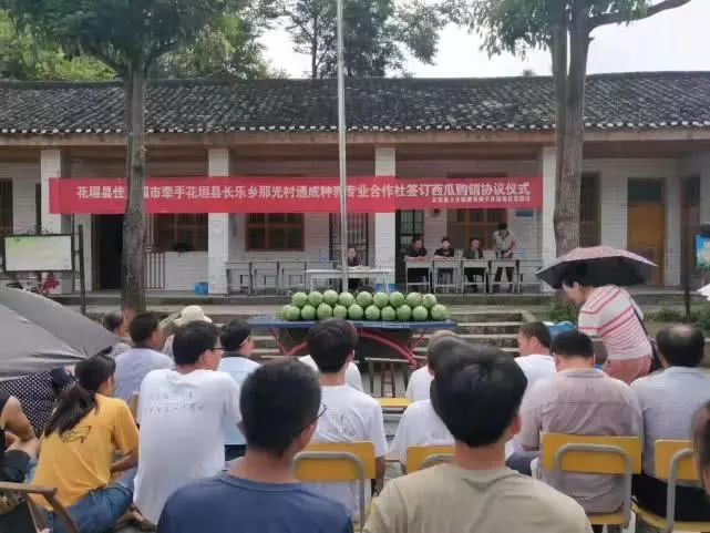 三部委联合印发通知 探索试行备案制 做好“千乡万村驭风行动”