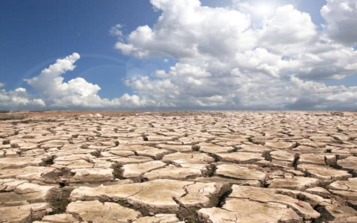 科研人员呼吁：将生态系统用水需求纳入生态干旱评估体系