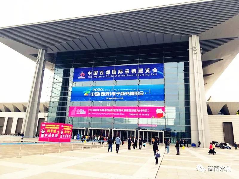 向“新”而行 以“质”致远 第二届中国(西安)国际矿业装备与技术展览会开幕