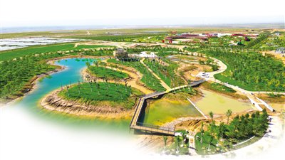 中国煤科西安研究院：“碳”寻绿色发展之路