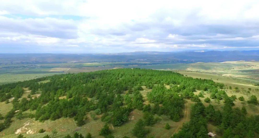 三北荒漠变为绿色电厂