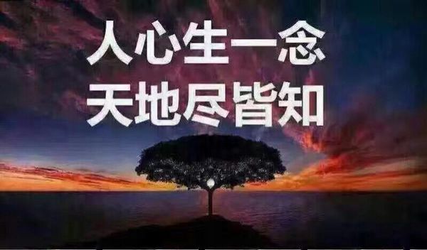 解码：5000亿上海国资创投的“道”与“术”