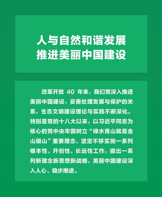 中法合作再结硕果 推动能源绿色变革 中国石化与道达尔签署战略合作框架协议