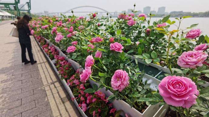 欧洲经济低碳转型面临大考