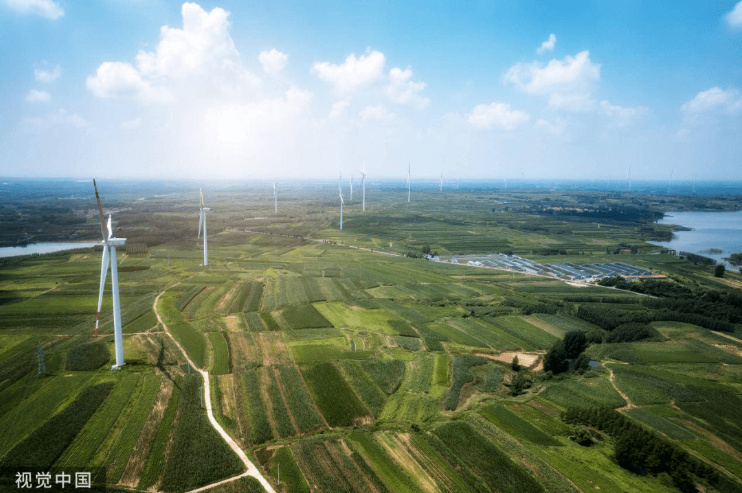 高质量发展看能源丨扎根大漠深处 让绿色与油气共舞