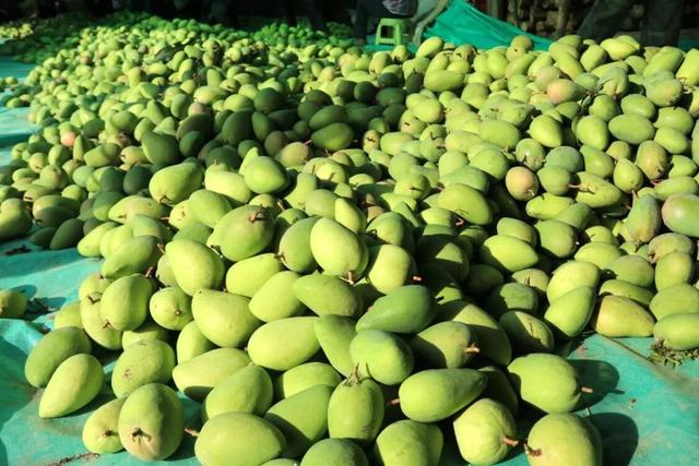 西气东输管道系统为长三角一体化高质量发展注入“绿色动能”