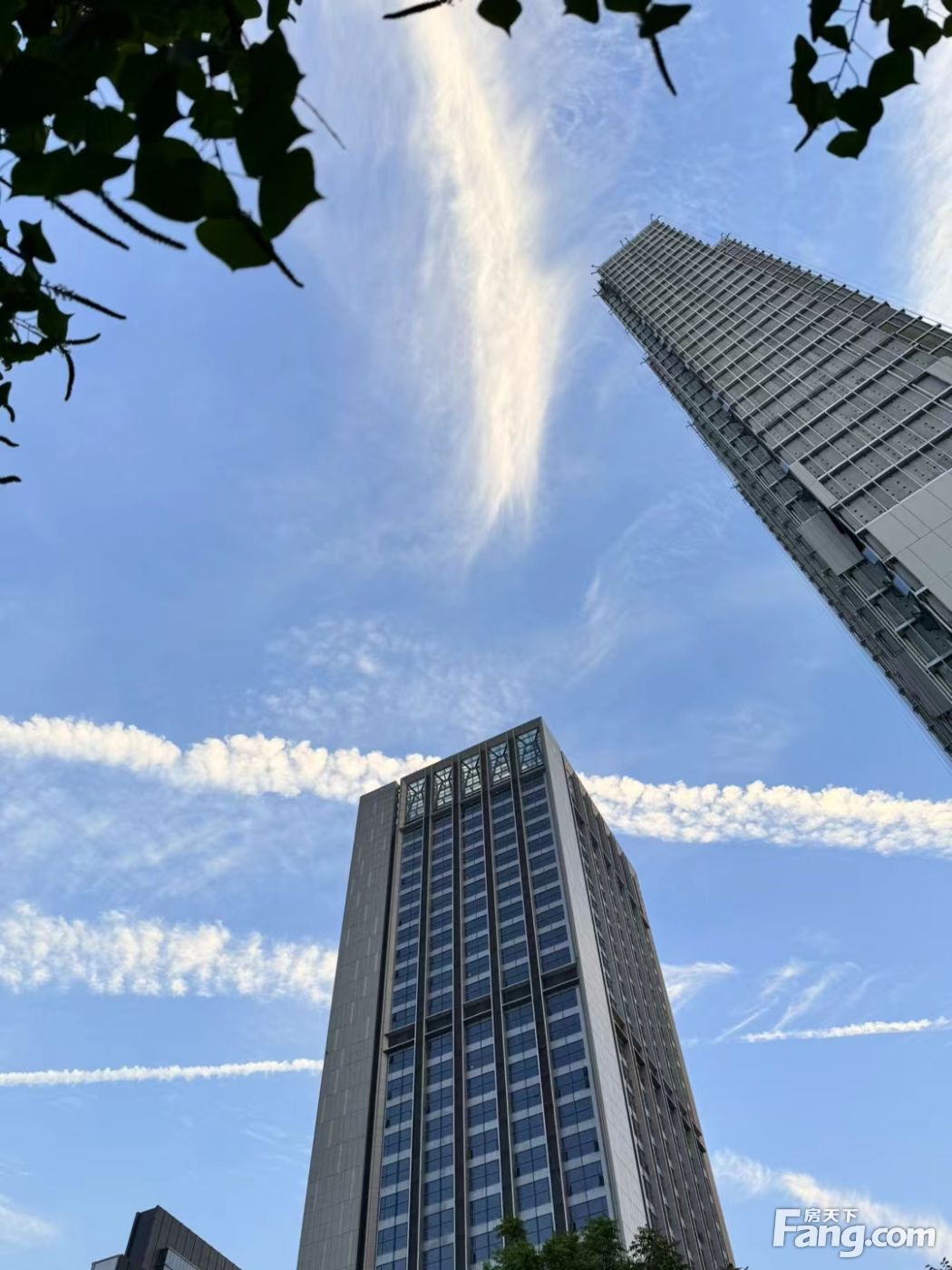 徐新亲自辟谣：今日资本从未撤离一级市场