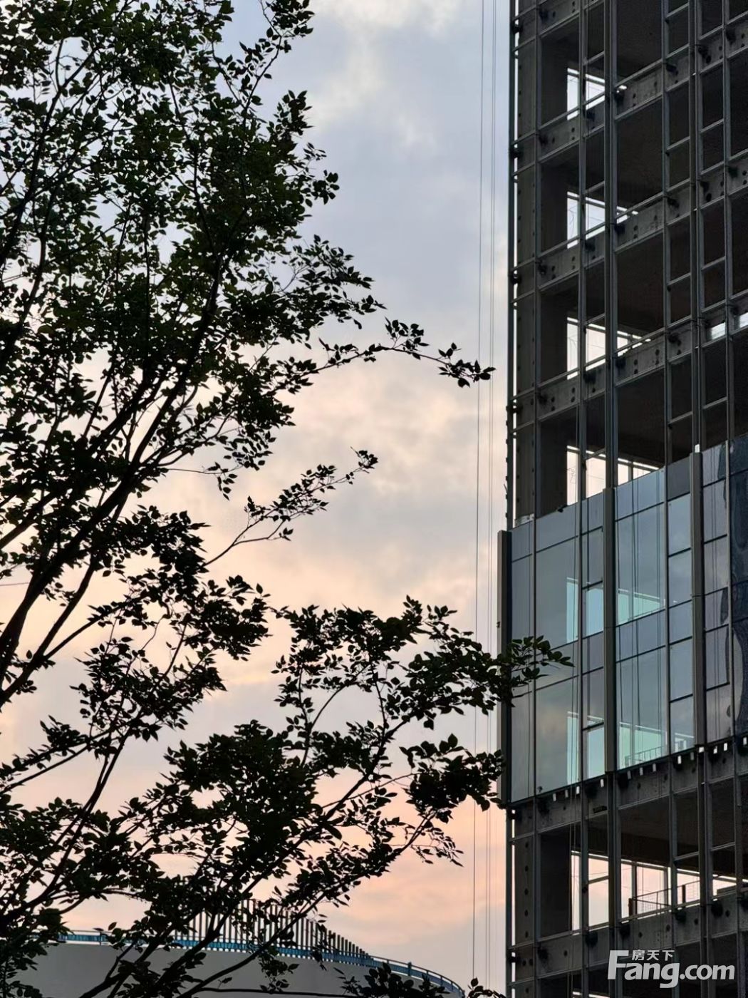 徐新亲自辟谣：今日资本从未撤离一级市场