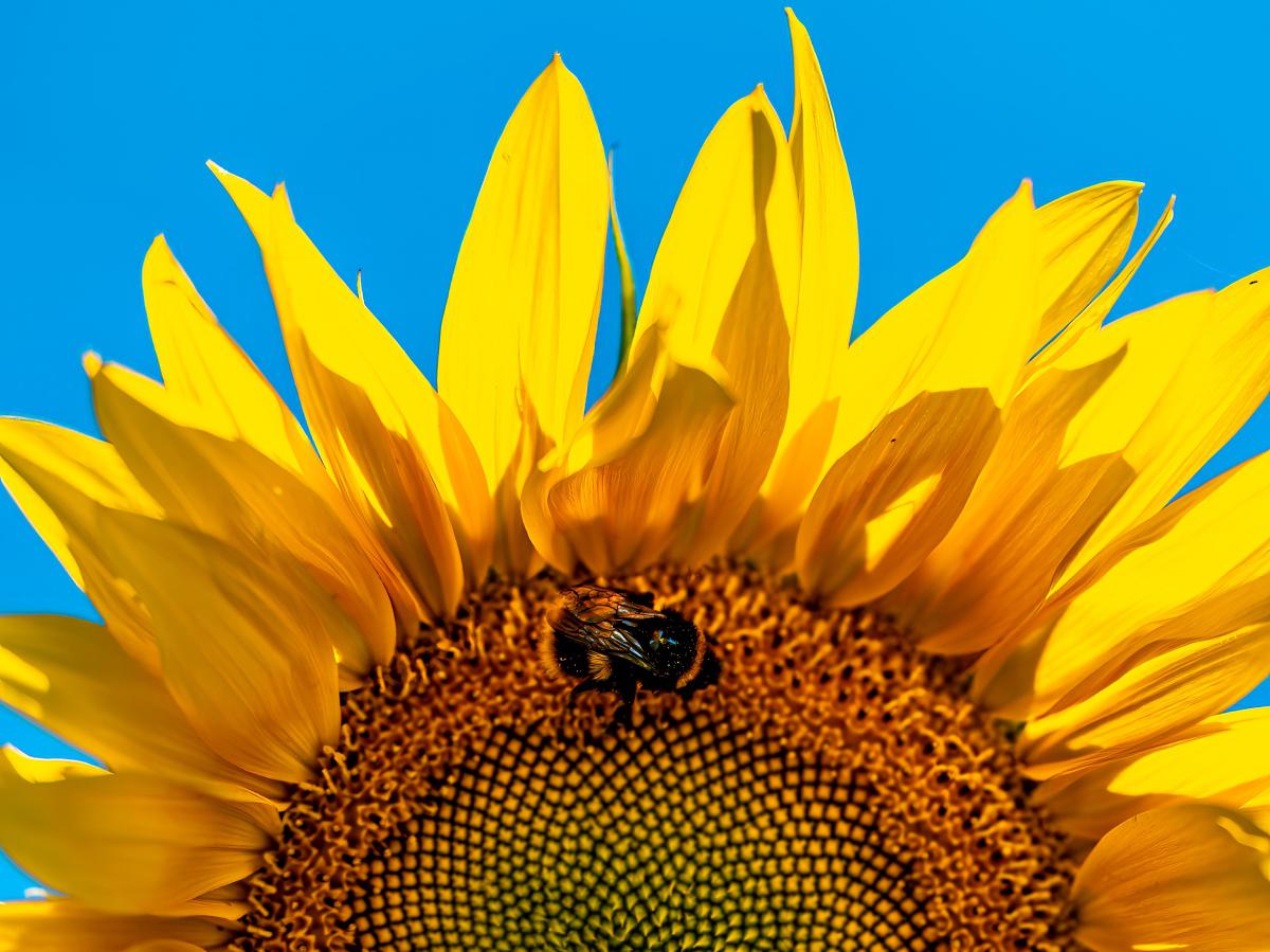 陈晨星：S交易重要性正得到积极肯定，相信未来市场生态会更加完善