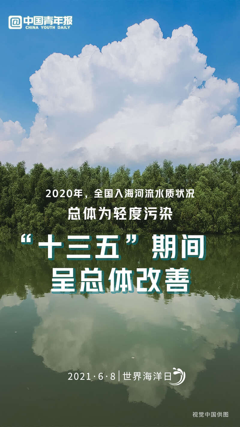 《中国的海洋生态环境保护》白皮书显示——我国海洋生态环境质量总体改善