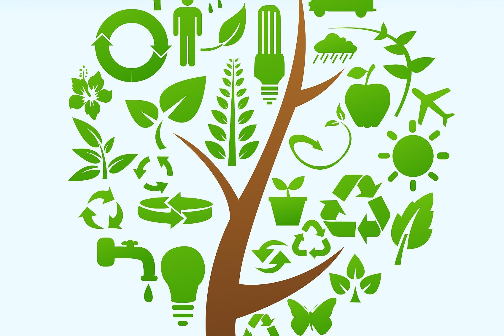 加快经济社会发展全面绿色转型