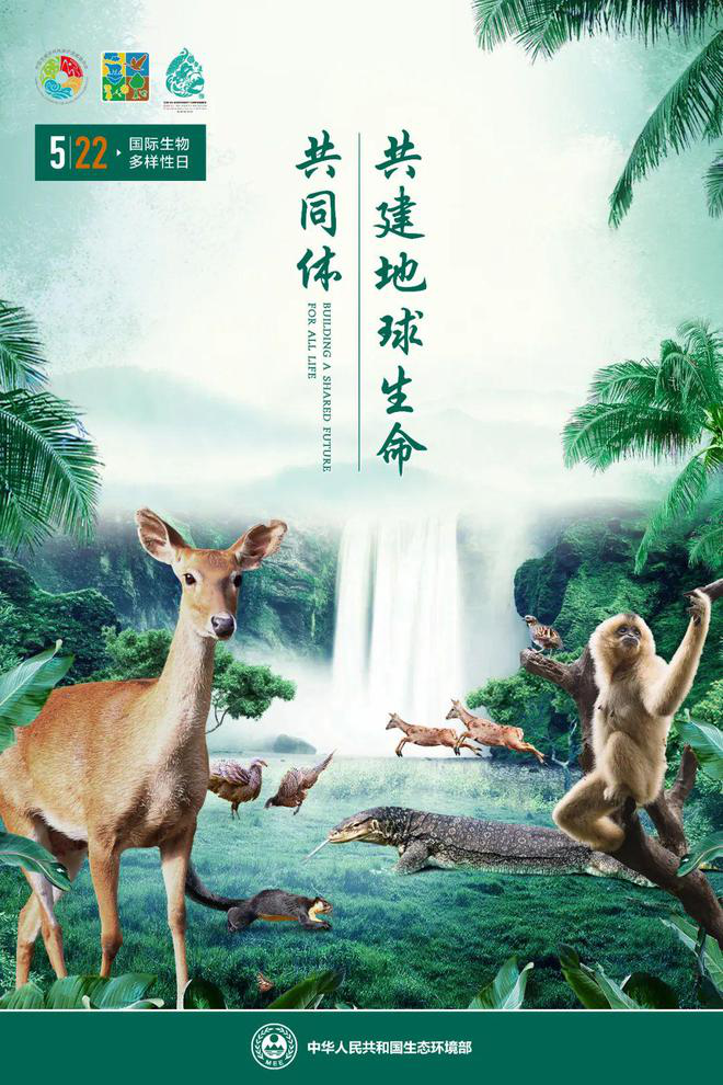 生生不息 万物并秀——中国石油创新开展生物多样性保护实践探访