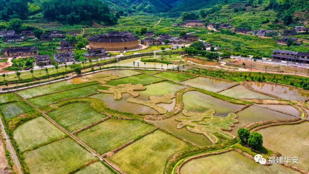 走进八闽水利重器霍口水库