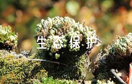 10项黄河流域生态保护治理先进适用技术5日发布