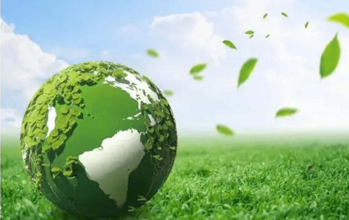 稳妥推进能源绿色低碳转型