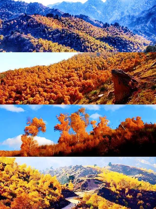 落霞与孤鹜齐飞 秋水共长天一色——内蒙古乌梁素海流域生态治理修复工程见闻