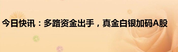 多路资金引入 央地齐打创新“组合拳”