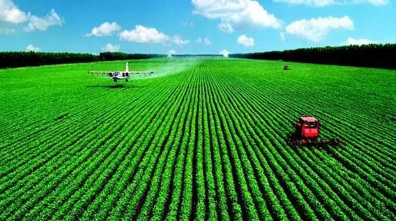 国家绿色发展基金汪义达：以耐心资本带动社会资本投向绿色低碳领域