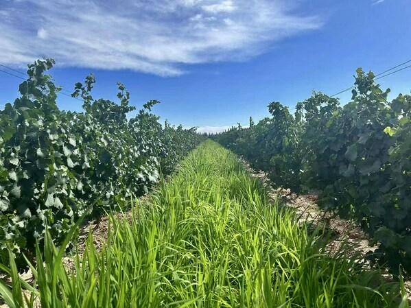 台达首席品牌官郭珊珊：以创新与绿色深耕品牌建设，助力台达可持续发展