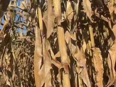 “十三五”以来 我国累计治理历史遗留废弃矿山480万亩