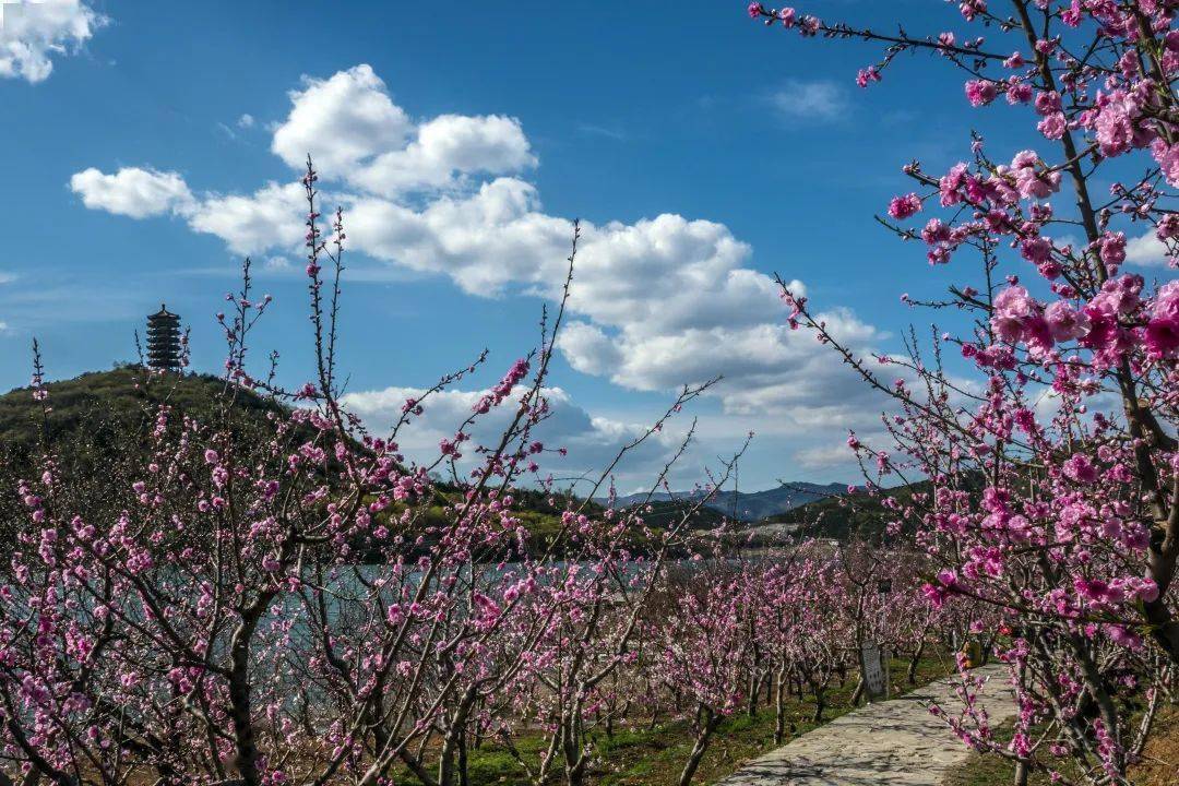 中石化易捷助力“高大尚”平谷建设 打造消费兴农新模式