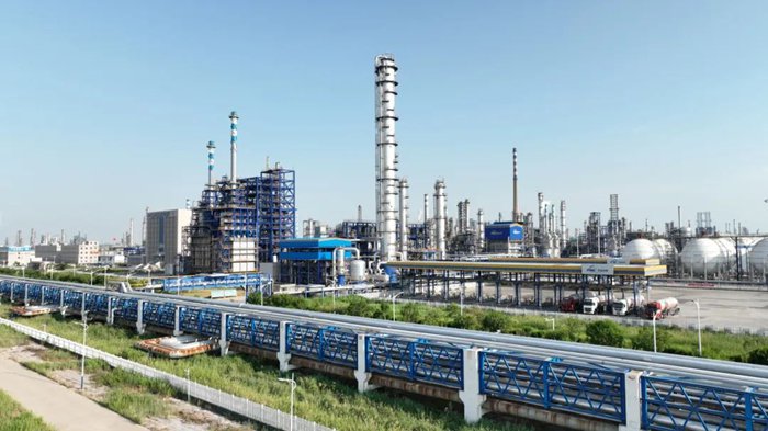 我国最大石化产业基地全面建成