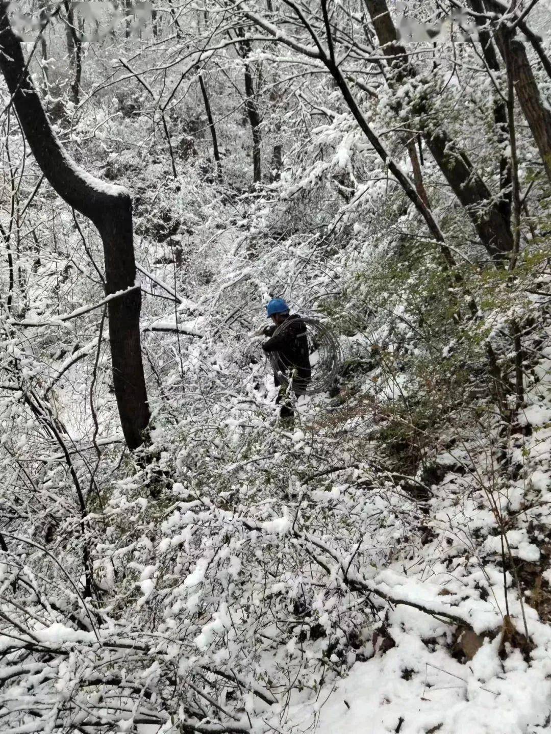 国网定西供电公司:迎寒而上 抗风雪保供电