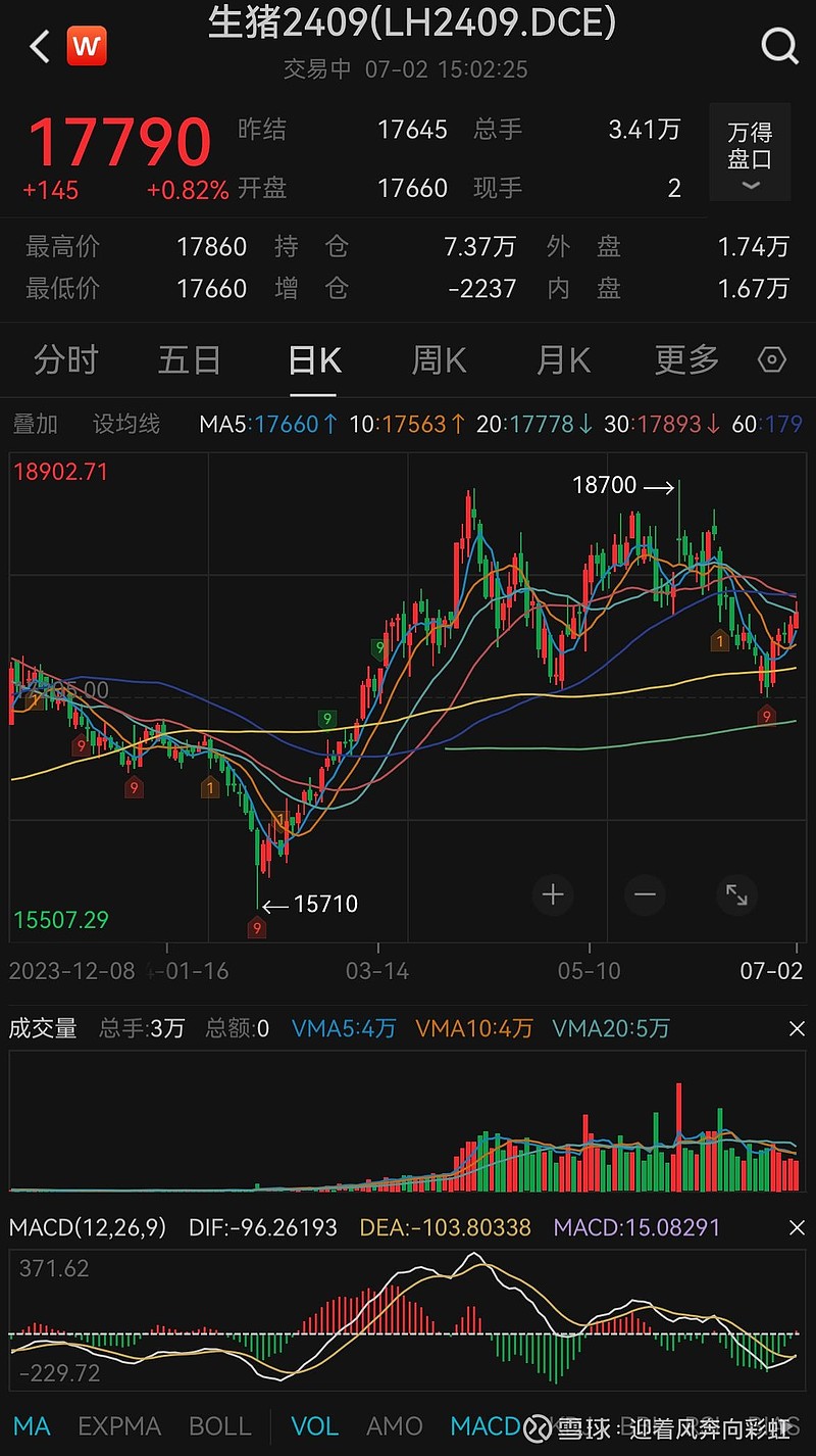 （2025年2月6日）今日纤维板期货最新价格