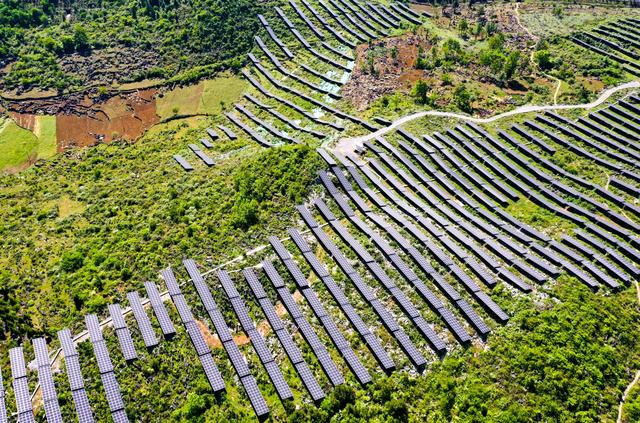 中国石化首个乡村振兴茶光互补项目全面建成