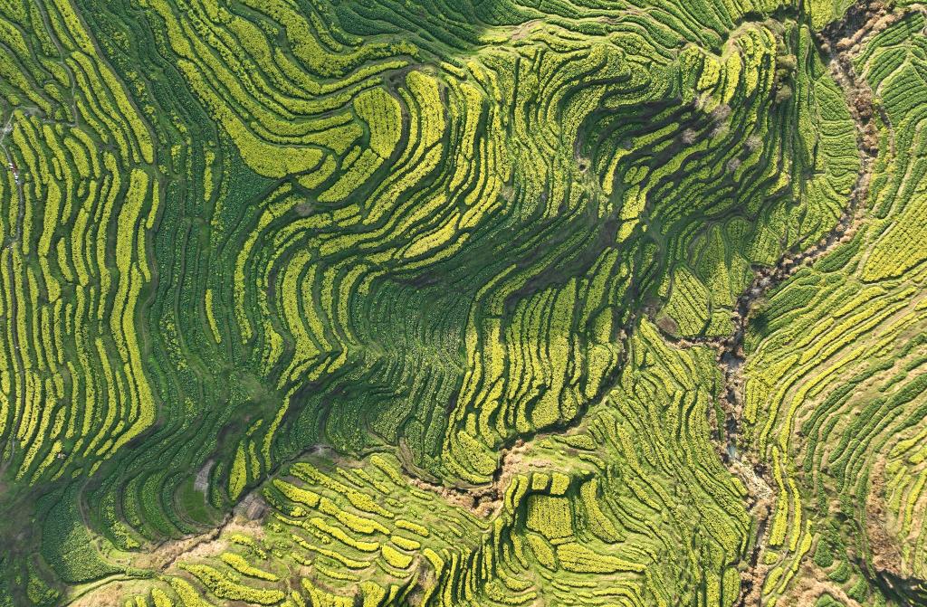 产学研共聚绿色动能 北控水务杯第八届中国国际生态环境创新大赛正式启动