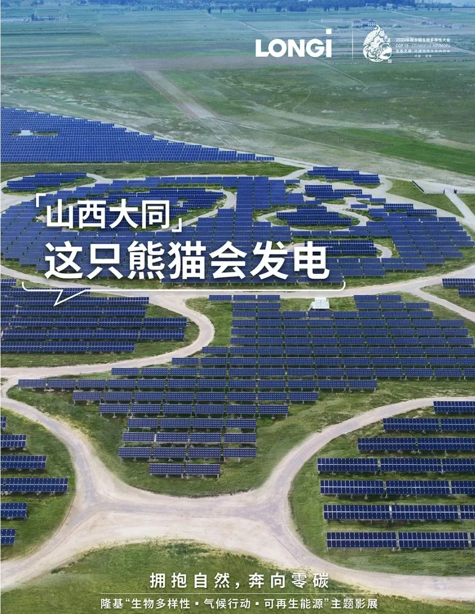 双标杆！隆基嘉兴基地成为全球光伏行业首个“灯塔+零碳”工厂