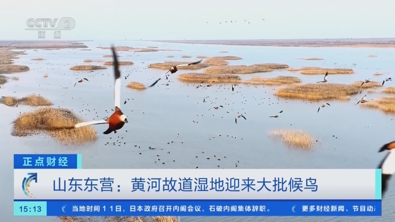 天目山麓的“生态密码” 杭州临安区着力谱写规范生态环境执法“双向答卷”