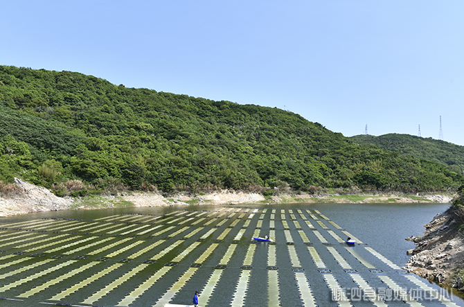 从“油城”到“绿都”的生态升级 北控水务助力大庆绘就高质量发展新图景