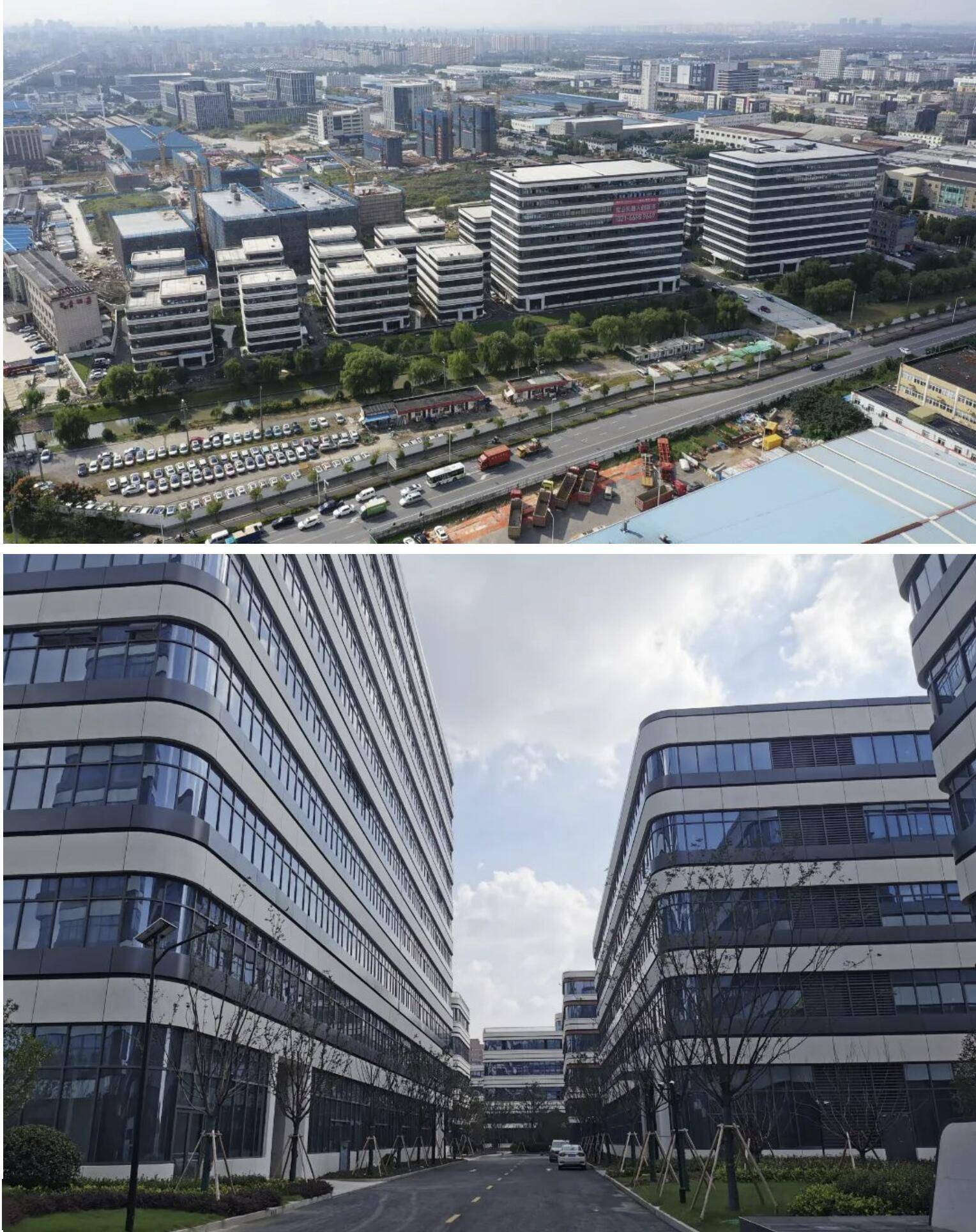 吴中金控杨冬琴：耐心资本直击产业痛点，助力“全国机器人产业集群第一区”建设