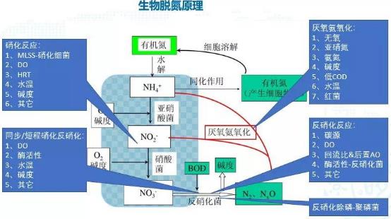《污水处理技术碳中和评价导则》团体标准发布 北控水务担任第一编制单位